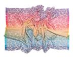 schal-farbverlauf-regenbogen-leo-ws103-innen3-bunt.jpg