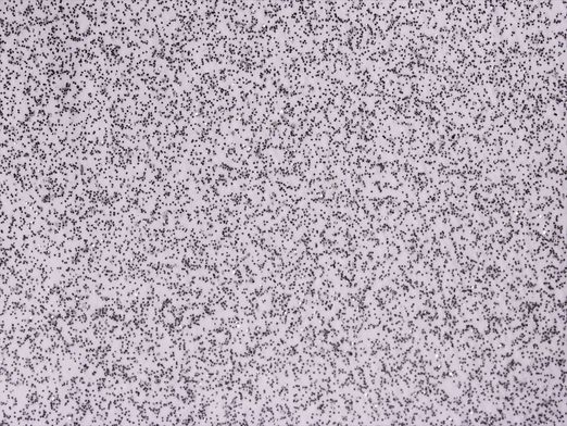Glitzer Flexfolie 50 x 30,5 cm - weiß Glitzer Flexfolie 50 x 30,5 cm - weiß