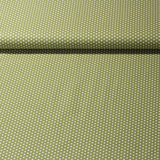 Popeline de coton Stella - Mini étoiles Vert Blanc