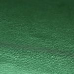 Kunstleder Colour - Tannengrün glänzend (KL-62) Kunstleder Colour - Tannengrün glänzend (KL-62)