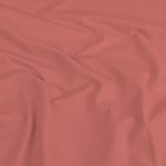 Jersey – Zarte Vintage-Rosen