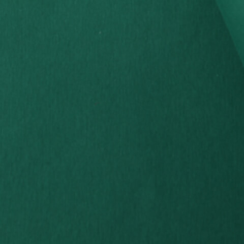 Bord-côte bio - Uni Vert émeraude 032