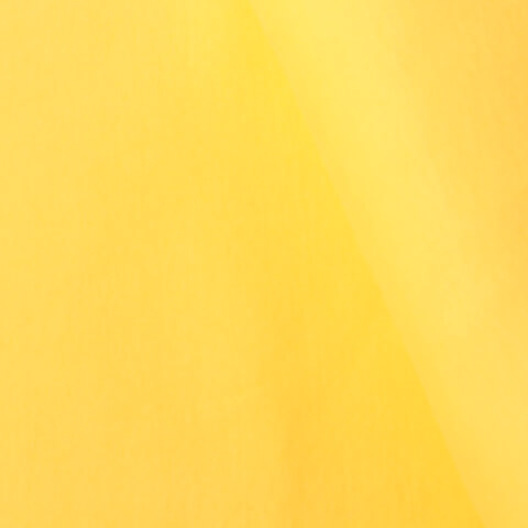 Bord-côte bio - Uni Jaune 028