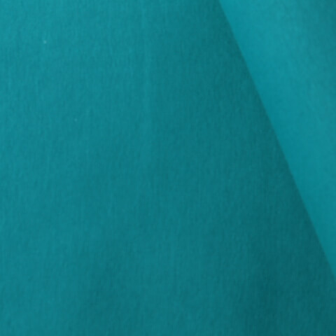 Bord-côte bio - Uni Bleu pétrole 012