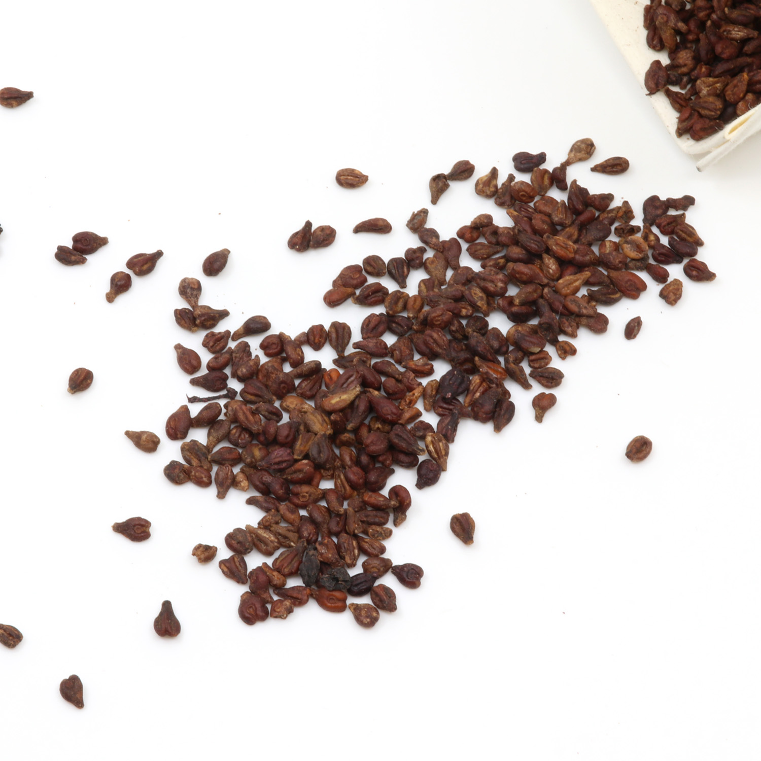 Traubenkerne als Füllung für Wärmekissen 600g-0 Traubenkerne als Füllung für Wärmekissen 600g-0