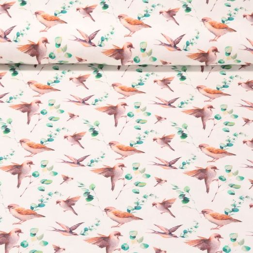 Jersey - Impression numérique - Oiseaux - crème