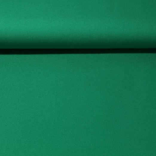 Canvas Dennis - Vert gazon