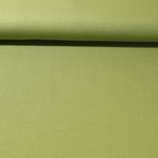 Jersey Lyocell Lisa - Vert mousse Uni