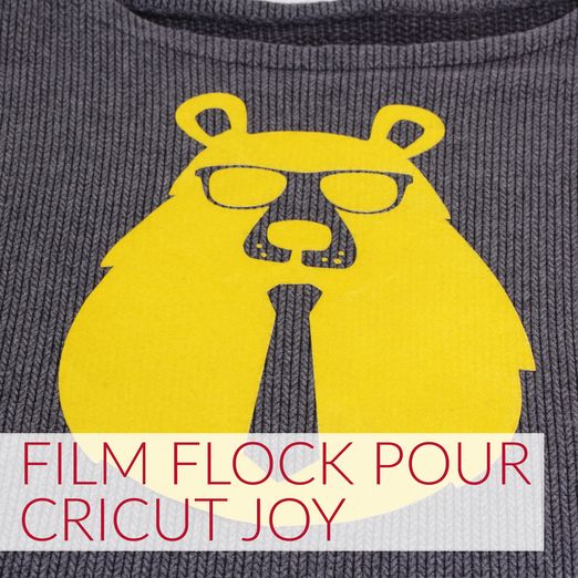 Film de flocage pour Cricut Joy - 13,9 x 50 cm
