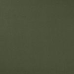 Polsini - Esercito 280