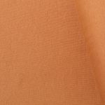 Bündchen Nina - Camel 550
