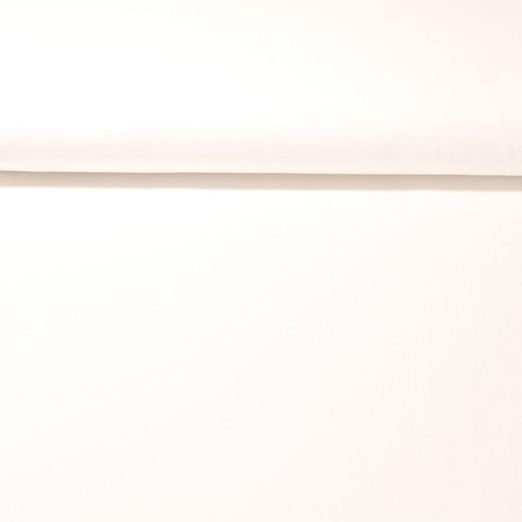 Bio Jersey Georg - Uni Ecru 250