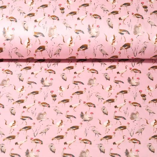 Coton - Satin Oiseaux d'eau Rose