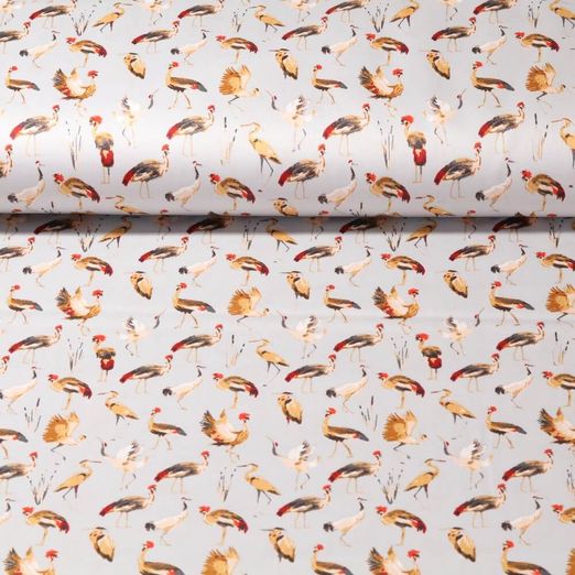 Coton - Satin Oiseaux d'eau Gris clair