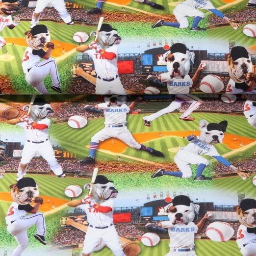 Jersey - Digitaldruck Hundebaseball Multicolor