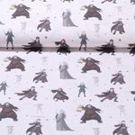 Popeline de coton - Harry Potter Beige 