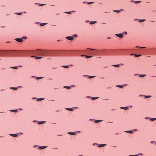 Sweat - Hamburger Liebe Digitaldruck Glossy Birds Altrosa