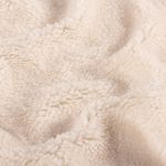 Teddy fleece – jednobarevný ecru Teddy fleece – jednobarevný ecru