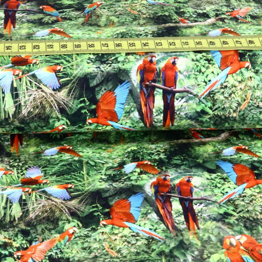 Jersey Print Parrots Digital Jersey Print Parrots Digital
