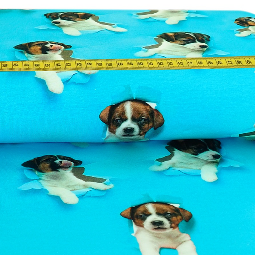 Jersey Puppies auf Aqua Digital