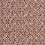 Jersey Miniblümchen auf Terracotta
