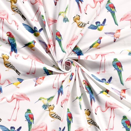 Jersey Vogelarten auf Weiß Digital Jersey Vogelarten auf Weiß Digital
