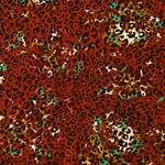 Jersey Große Blüten und Leospots auf Blutorange