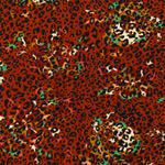 Jersey Große Blüten und Leospots auf Blutorange Jersey Große Blüten und Leospots auf Blutorange