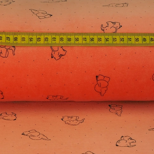 Nicki Baby Elefant auf Lachs