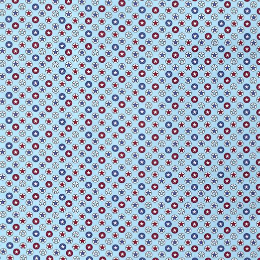 Baumwolle Sterne im Kreis auf Hellblau Baumwolle Sterne im Kreis auf Hellblau