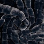 Kunstfell – Karo Schwarz Kunstfell – Karo Schwarz
