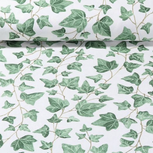 Toile canevas - Lierre Blanc