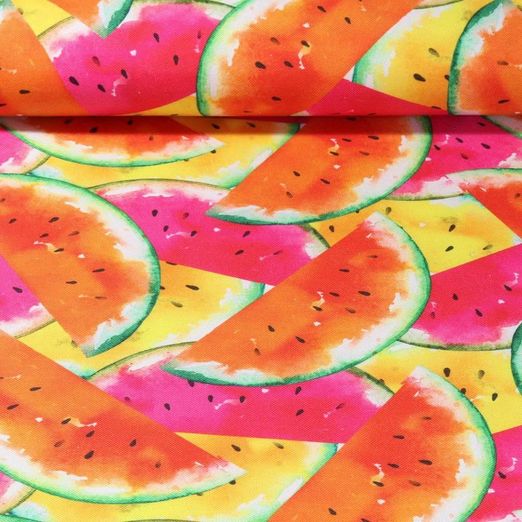Canvas - Wassermelonen Multicolor
