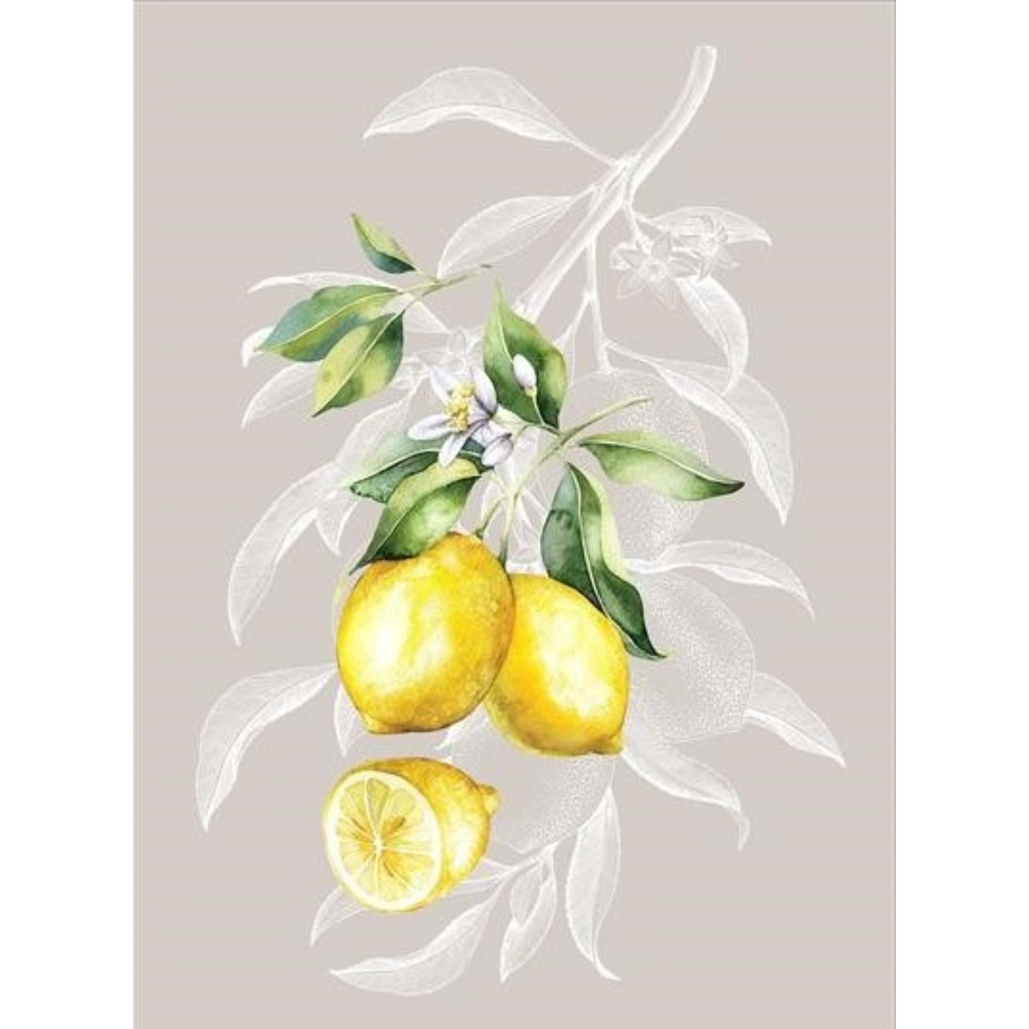 Canvas Geschirrtücher Panel - Köper Zitronen Multicolor-3 Canvas Geschirrtücher Panel - Köper Zitronen Multicolor-3