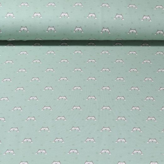 Jersey - Katzengesichter Mint