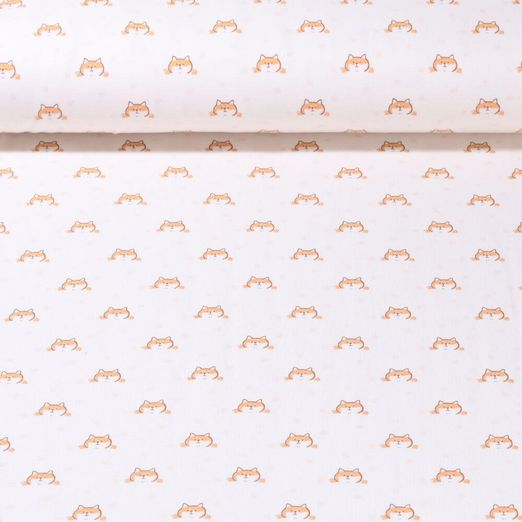 Jersey - Visages de chats Ecru