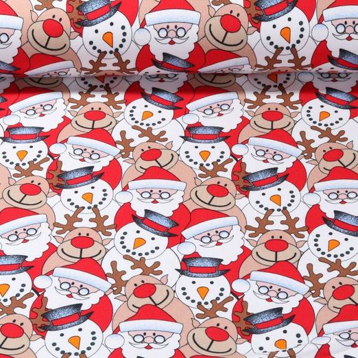 Sweat gratté - Bonhommes de neige et rennes Multicolore