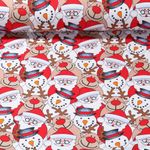 Sweat gratté - Bonhommes de neige et rennes Multicolore