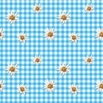 Faschingstyg – Edelweiss Blåvit Rutig