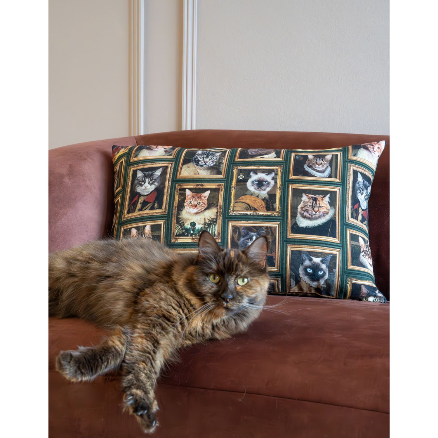 Toile de coton canevas - Impression digitale Portraits de chats Vert Multicolore-1 Toile de coton canevas - Impression digitale Portraits de chats Vert Multicolore-1