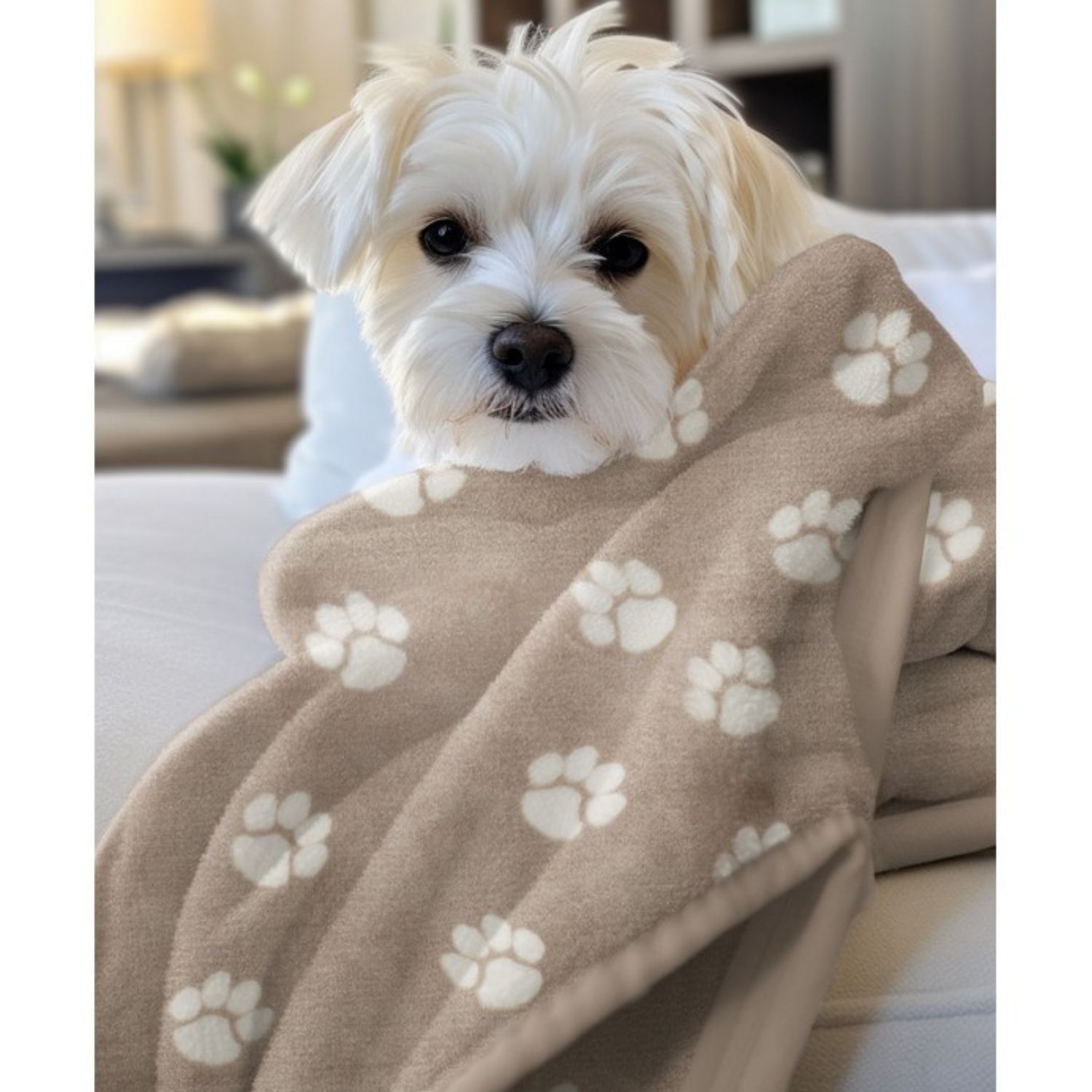 Polaire - Polaire tout douce Double face Pattes de chien Beige-1 Polaire - Polaire tout douce Double face Pattes de chien Beige-1