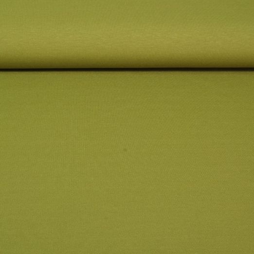 Jersey de coton Romanite Linus - Pistache