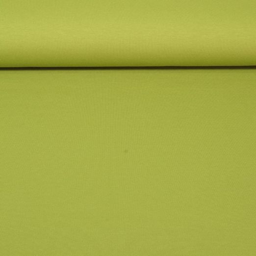 Jersey de coton Romanite Linus - Vert olive
