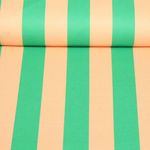 Toile canevas - Rayures Vert Pêche