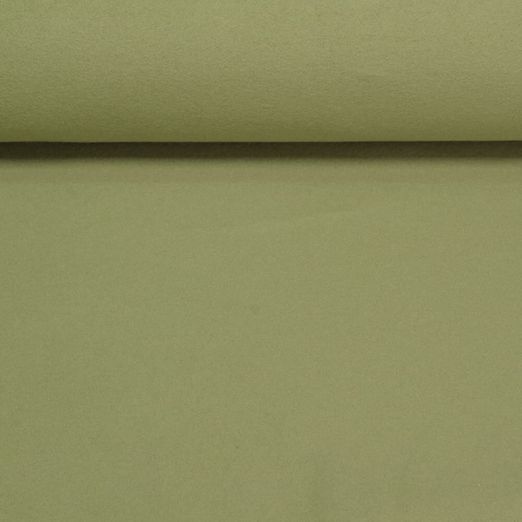 Polaire coton bio Heiko - Double face Uni Vert mousse