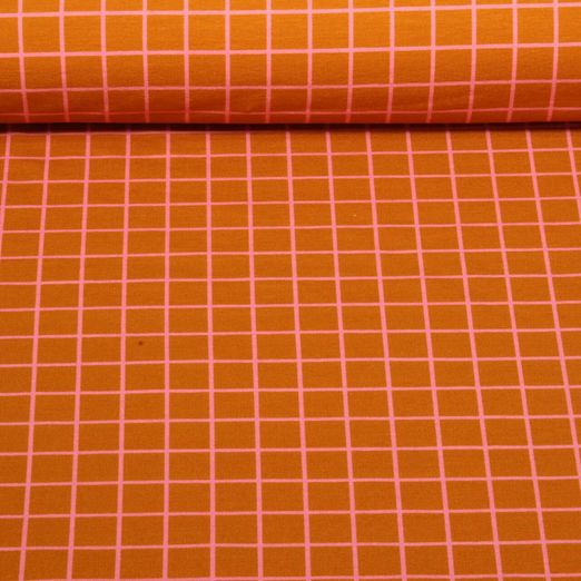 Sweat d'été bio - Hamburger Liebe Impr. digi. Beetles & Bugs Grids Marron