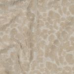 Maglia Terry - Leo Sand Maglia Terry - Leo Sand