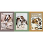 Canvas Panel - Hunde und Katzen Multicolor Canvas Panel - Hunde und Katzen Multicolor