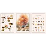 Canvas Panel - Pilze Multicolor Canvas Panel - Pilze Multicolor