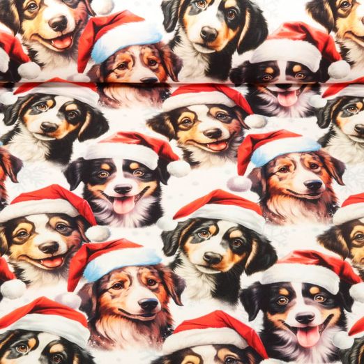 Sweat d'été - French Terry Chiens Noël Blanc